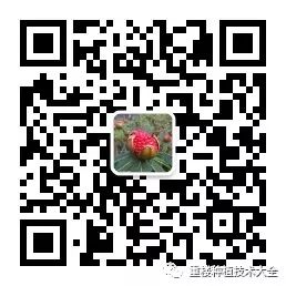 种植重楼赚钱吗_致富经重楼种植技术_种植重楼效益