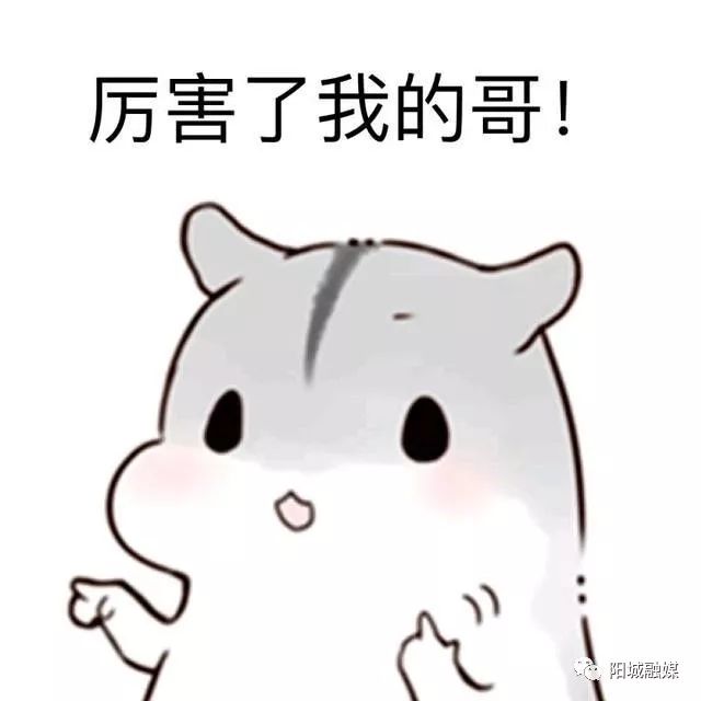 咸阳市武功县小村镇最新消息_咸阳武功农村致富经_陕西省咸阳武功新闻