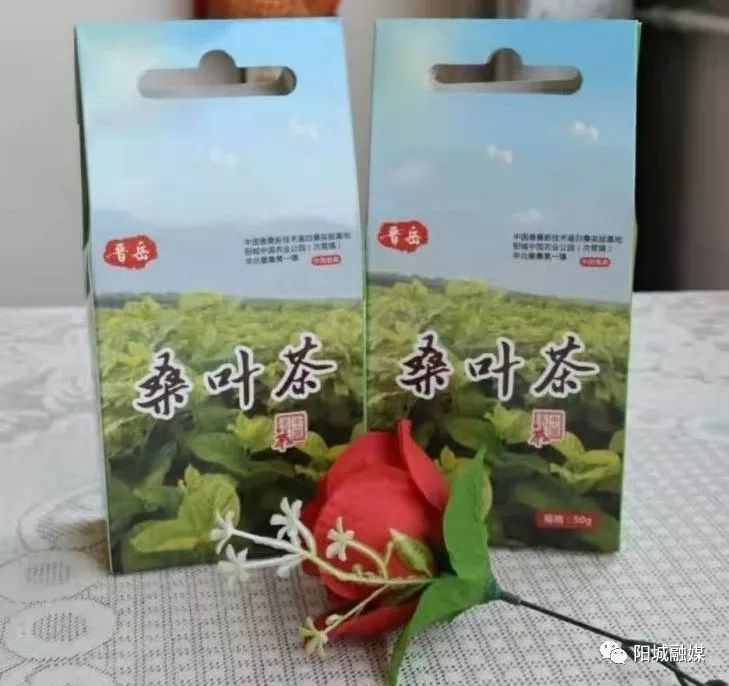 陕西省咸阳武功新闻_咸阳武功农村致富经_咸阳市武功县小村镇最新消息