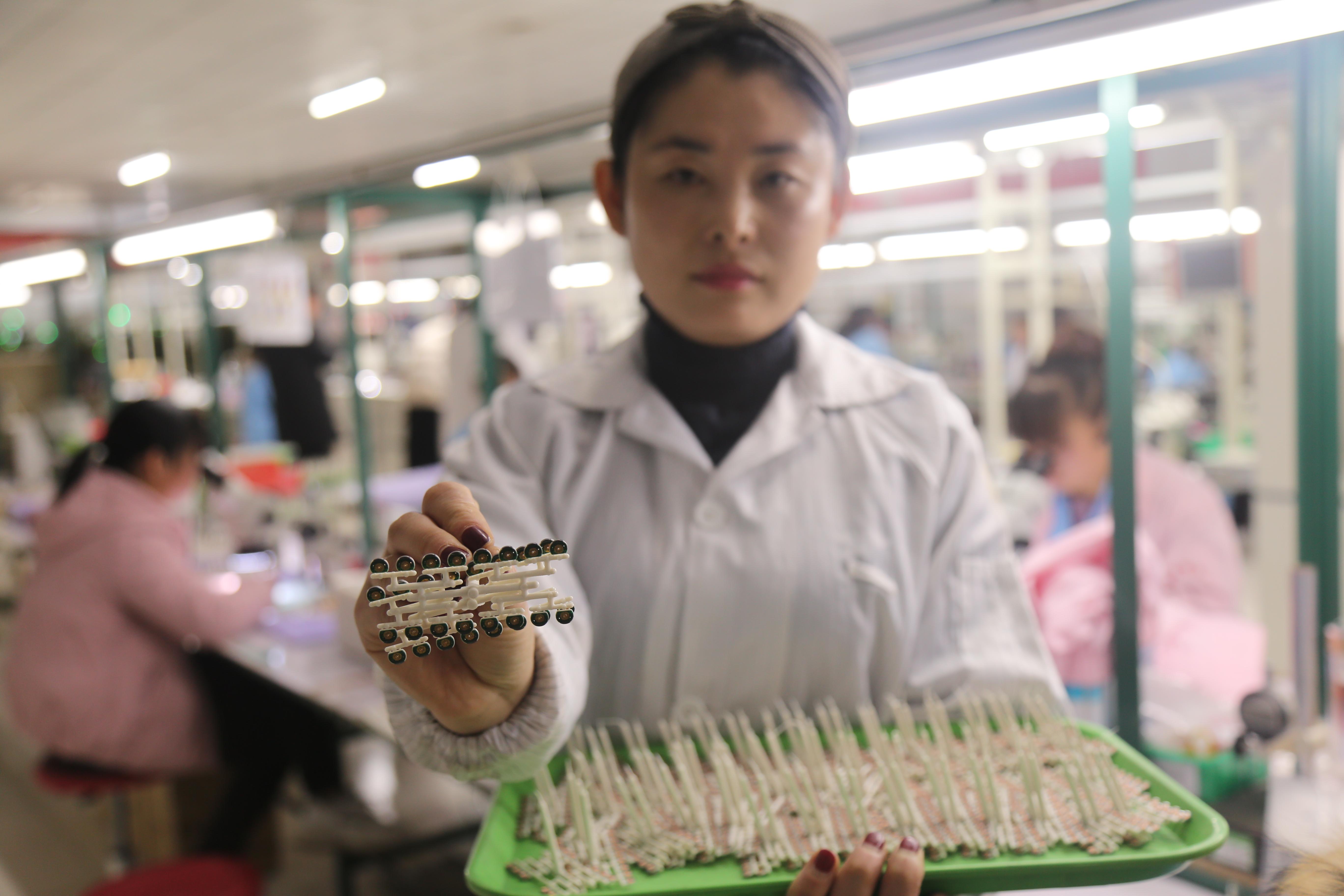 笨鸡苗养殖技术_家养笨鸡养殖技术_养笨鸡的技术与管理