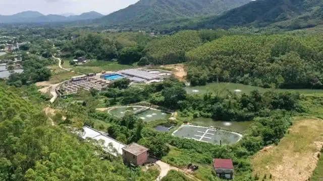 致富经江山市养鳜鱼_养驴致富故事_江山养殖