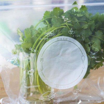 香菜冬季室内种植技术要点_冬季室内香菜种植技术_香菜冬季种植方法