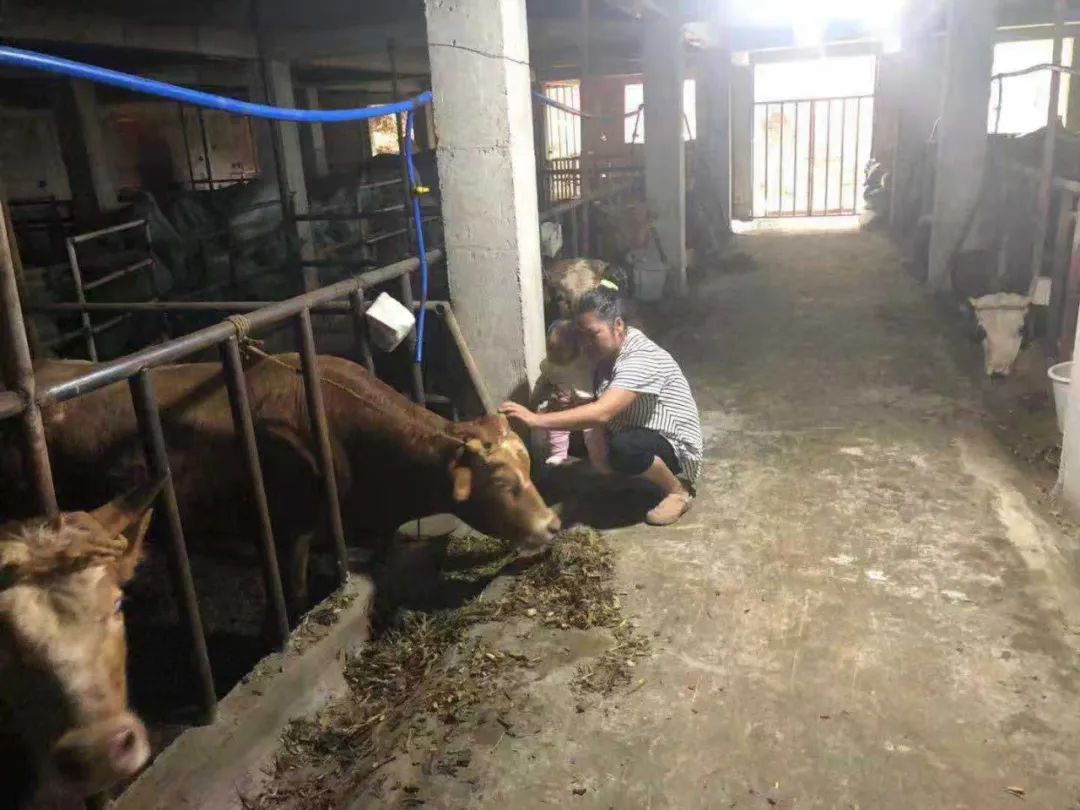 女性养殖致富故事_致富养殖女性故事大全_致富经女强人养羊视频