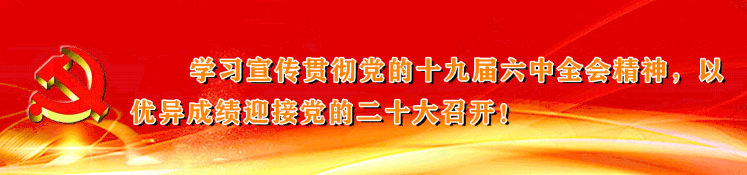 西门塔尔养牛视频_养殖西门塔尔肉牛技术_肉牛养殖技术视频西门塔尔