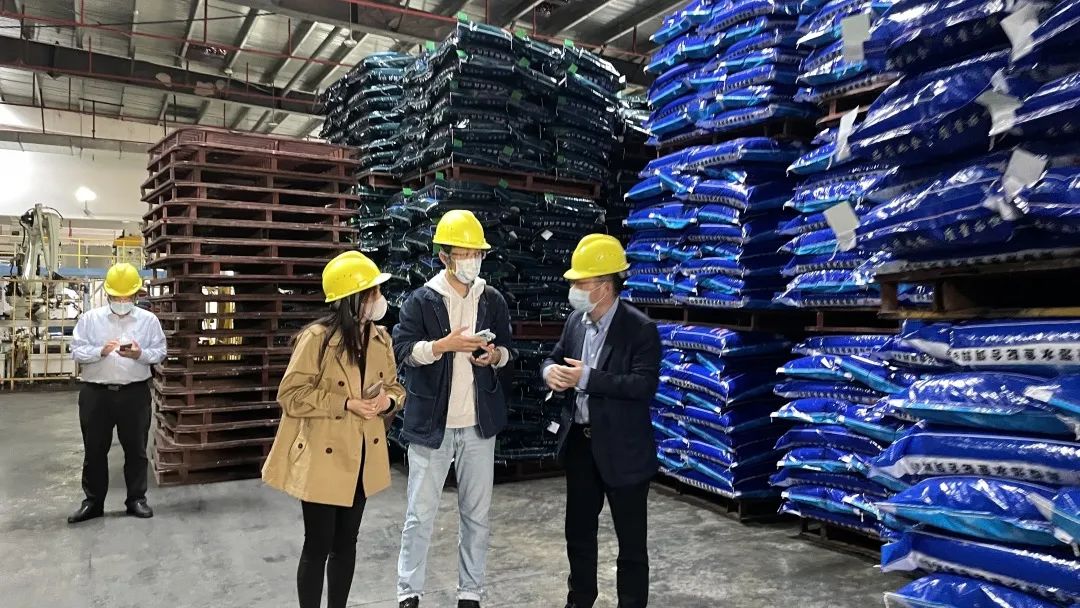 鲈鱼养殖技术视频致富经_反季节养殖鲈鱼_乡村季风养殖鲈鱼致富吗