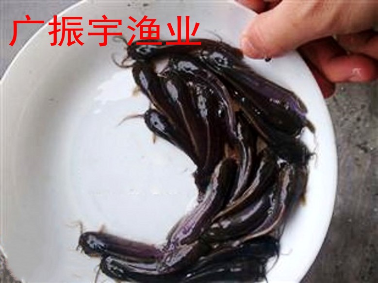 啊3