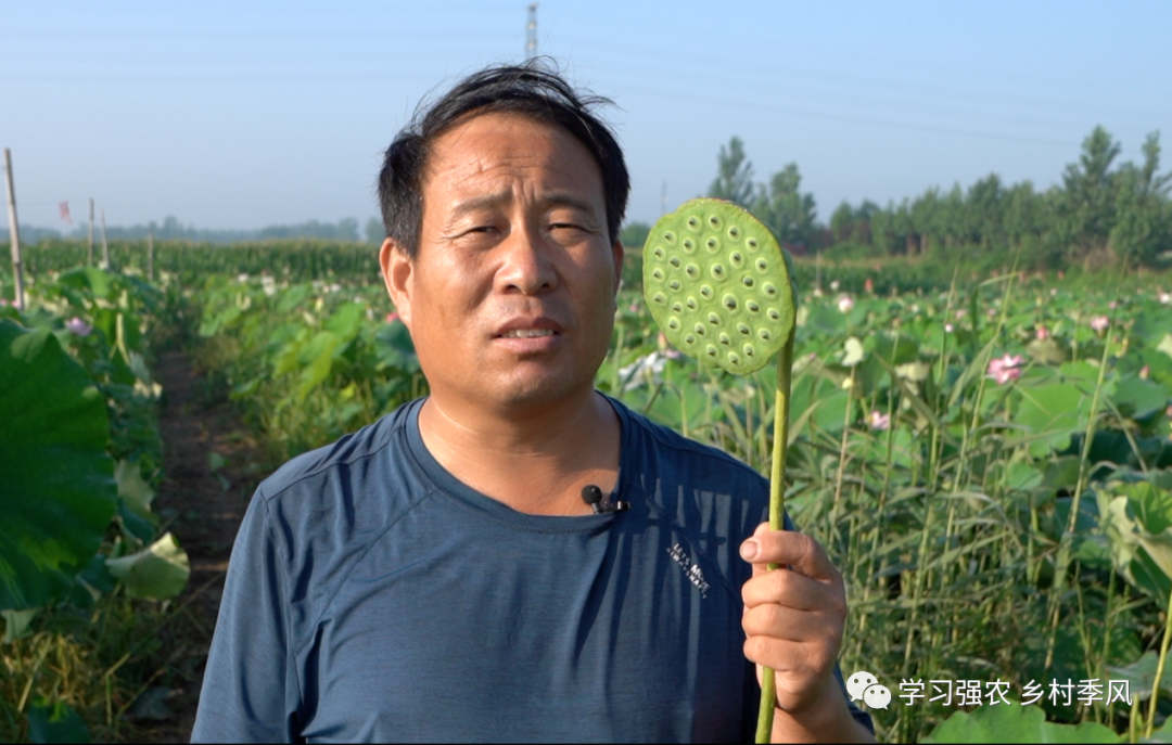 致富经鱼台莲子_致富经鱼台莲子_致富经鱼台莲子