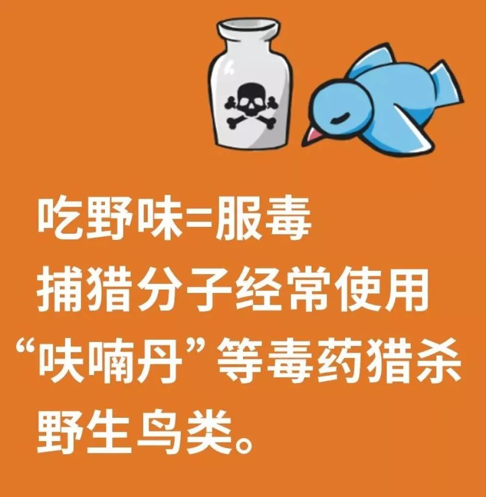 野兔技术养殖_养殖野兔子教程_养殖野兔视频