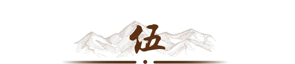 致富沙漠种植方法有哪些_致富沙漠种植方法图片_沙漠种植致富方法