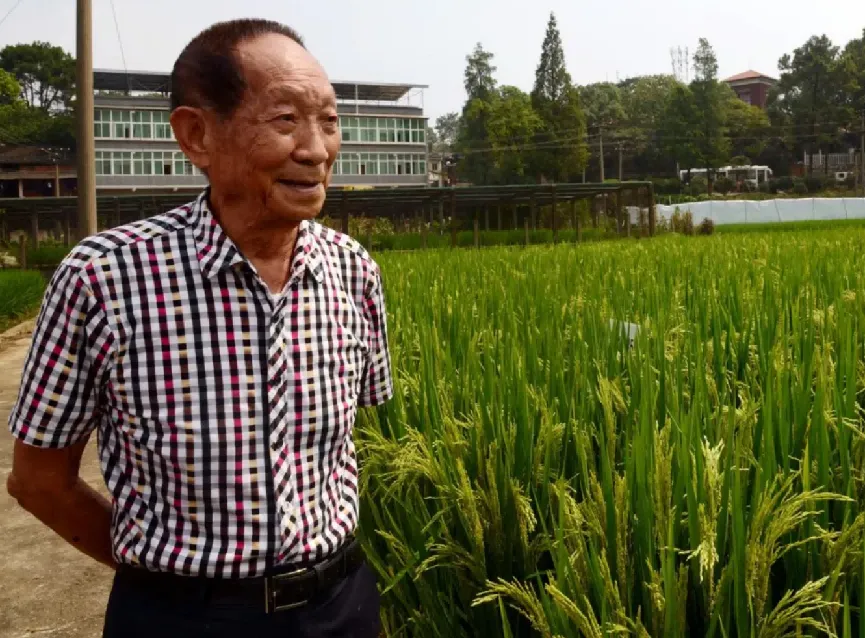 沙漠种植致富方法_致富沙漠种植方法图片_致富沙漠种植方法有哪些