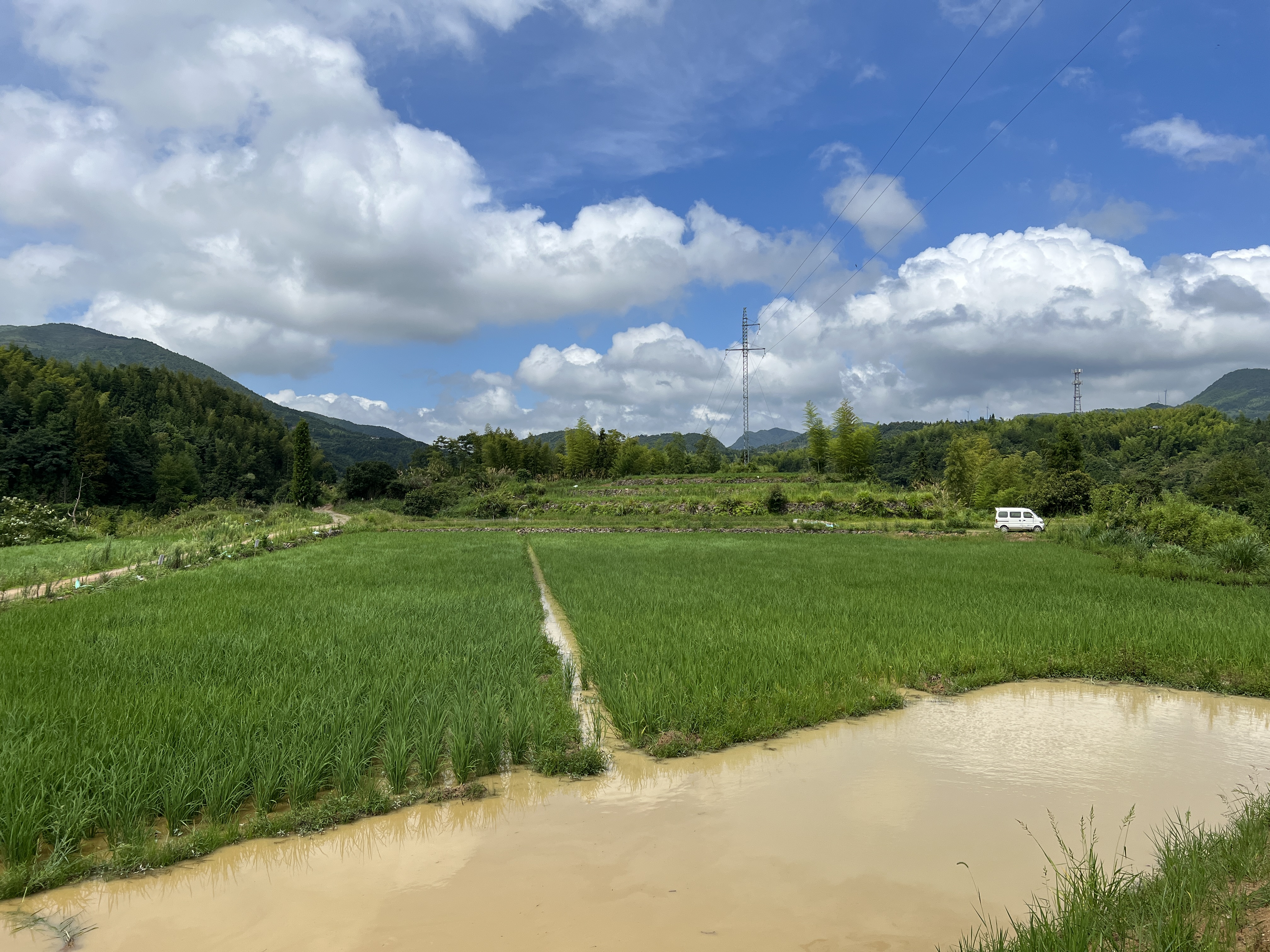 致富经桐乡稻鱼呀上_致富经桐乡稻鱼呀上_致富经桐乡稻鱼呀上