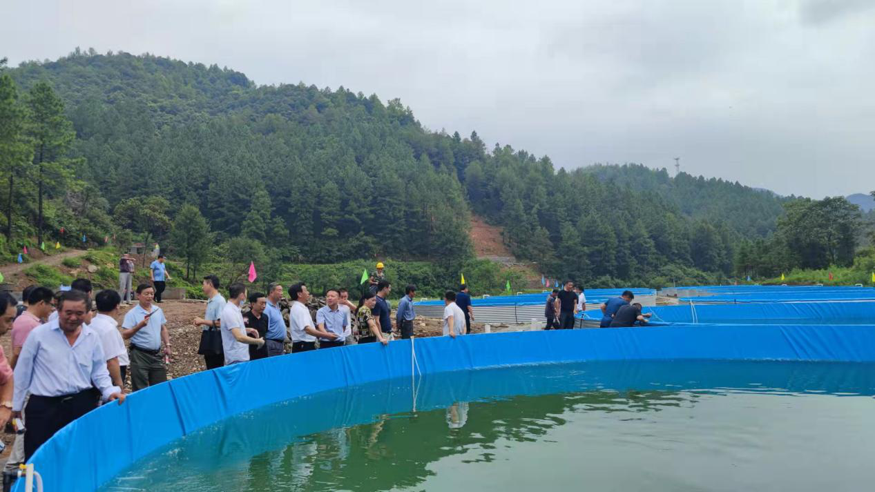 浙江省淡水石斑鱼鱼苗哪有出售_小溪石斑鱼养殖基地_致富经小溪石斑鱼养殖浙江
