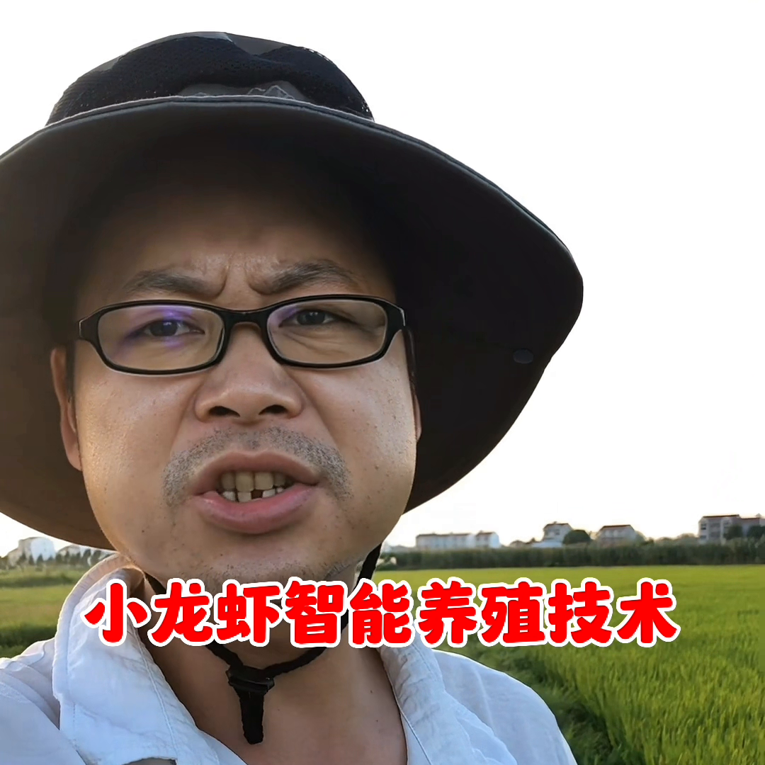 室内养殖龙虾技术_龙虾养殖_龙虾养殖室内技术视频