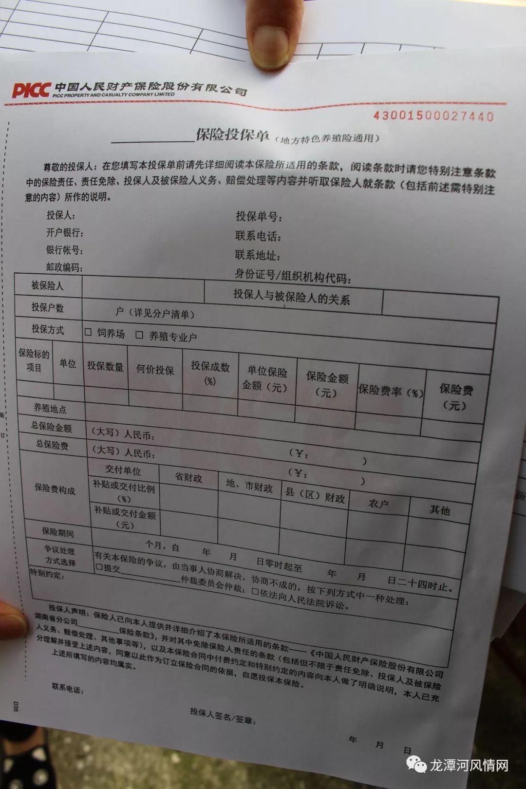母牛怀孕养殖致富_怀孕母牛养殖技术_致富经养母牛
