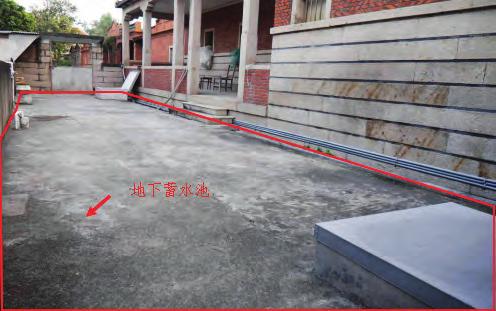 养殖大鲵需要什么手续_大鲵养殖技术教材_大鲵养殖户