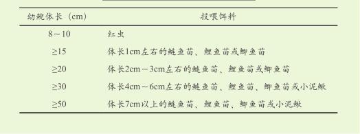 养殖大鲵需要什么手续_大鲵养殖技术教材_大鲵养殖户