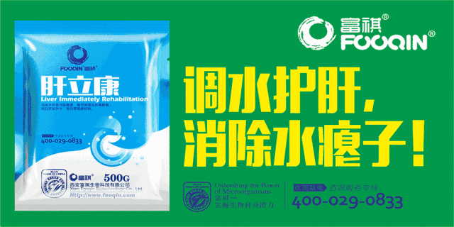 如何养蟹苗_蟹苗怎么养殖_蟹苗养殖技术与方法