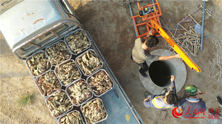 致富经生姜种植视频_致富生姜种植故事视频_种植生姜致富故事