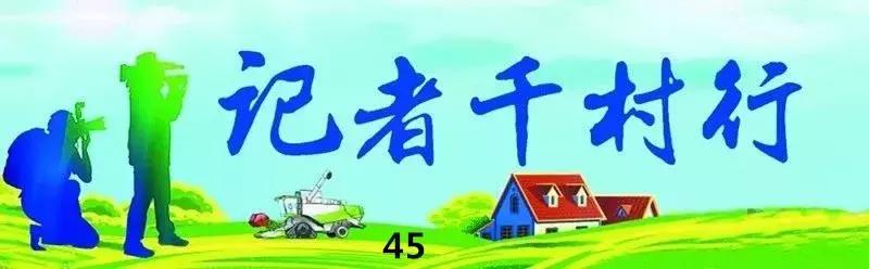 高效益水果种植_致富创业网搞种植水果_种植水果带头致富