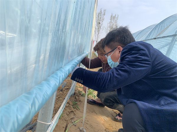 带领村民发展蔬菜大棚 做强“产业”做大“家业”