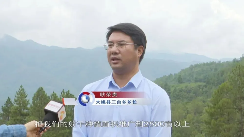 农村致富项目种植业_农村致富新项目种植业_种植基地致富增收