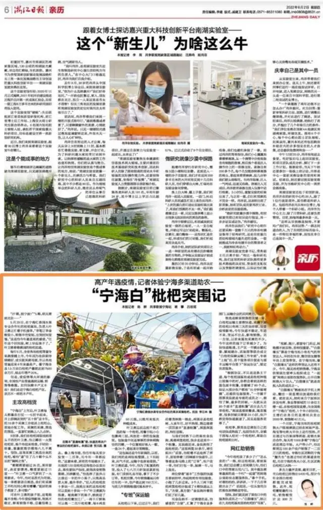 种植枇杷技术与管理_枇杷种植技术_白枇杷种植技术
