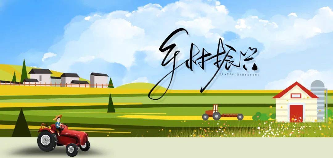 农村致富新项目种植业_农村致富种植项目_种植基地致富增收