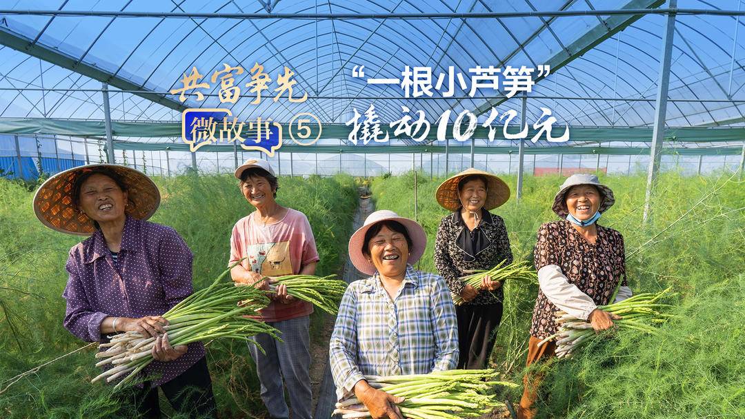 【共富争先·微故事⑤】“一根小芦笋”  撬动10亿元