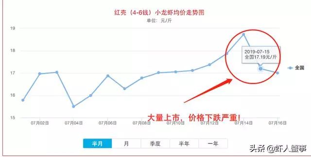 澳洲淡水龙虾虾苗价格_澳洲淡水龙虾致富经_澳洲淡水龙虾苗致富经