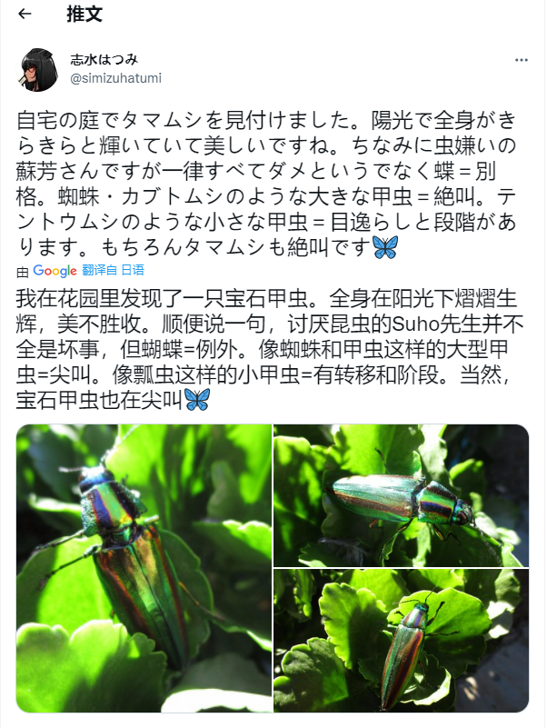 烈火养殖鸟技术视频_烈火养殖鸟技术要求_烈火鸟养殖技术