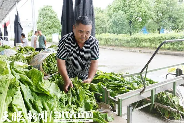种植烤烟的利润_种植烤烟致富_种植烤烟挣钱吗