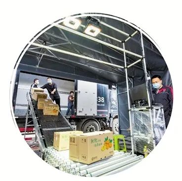 白枇杷怎么种_枇杷种植技术_白枇杷种植技术