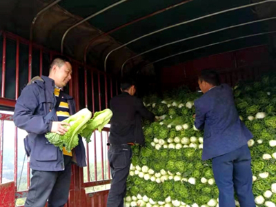 艳椒425辣椒运输车辆