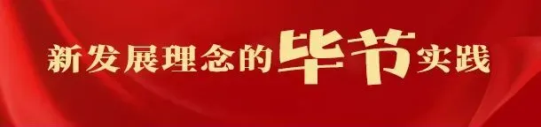 七彩山鸡 郭涛致富经_七彩山鸡 郭涛致富经_七彩山鸡 郭涛致富经