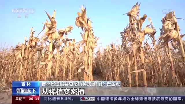 盐碱地水产养殖_盐碱养殖致富项目_致富养殖盐碱项目介绍