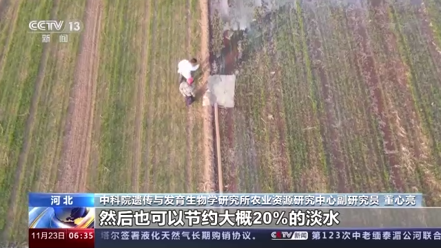 盐碱地水产养殖_致富养殖盐碱项目介绍_盐碱养殖致富项目