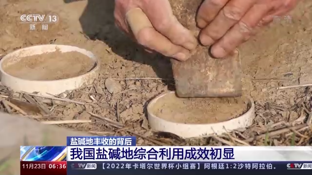 致富养殖盐碱项目介绍_盐碱养殖致富项目_盐碱地水产养殖