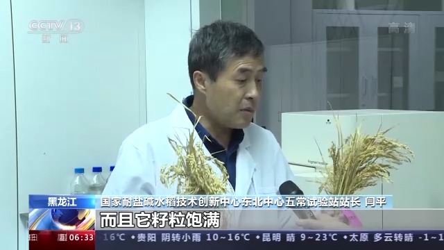 致富养殖盐碱项目介绍_盐碱养殖致富项目_盐碱地水产养殖
