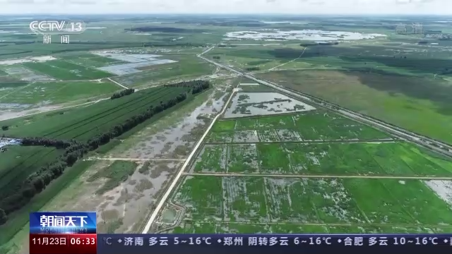 盐碱养殖致富项目_盐碱地水产养殖_致富养殖盐碱项目介绍