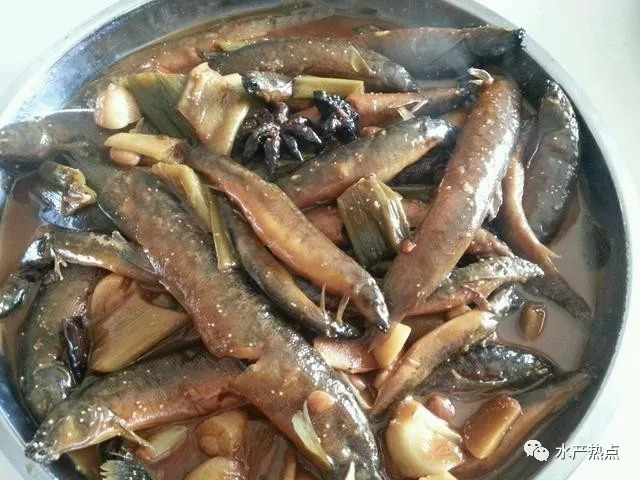 败光家产之后的他，靠“泥鳅”翻身，销售额突破亿元！