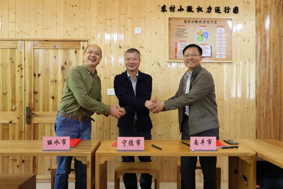 回乡种菜赚钱吗_致富经野菜种植_回乡种植野菜致富