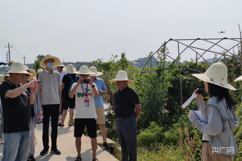 致富门路种植企业_致富种植门路企业名称_致富种植门路企业有哪些