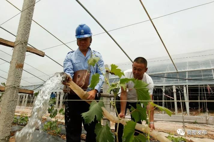 致富采访种植葡萄视频_葡萄种植致富采访_致富采访种植葡萄的人