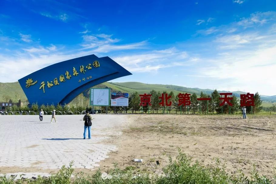 千松坝：一片森林富了一方百姓