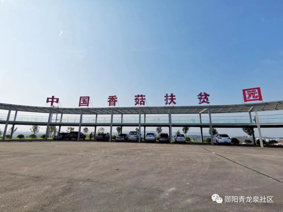 湖北致富经_湖北致富项目_湖北种植致富计划
