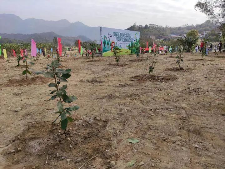 农业种植致富网_致富种植农业果实_农业种植致富果
