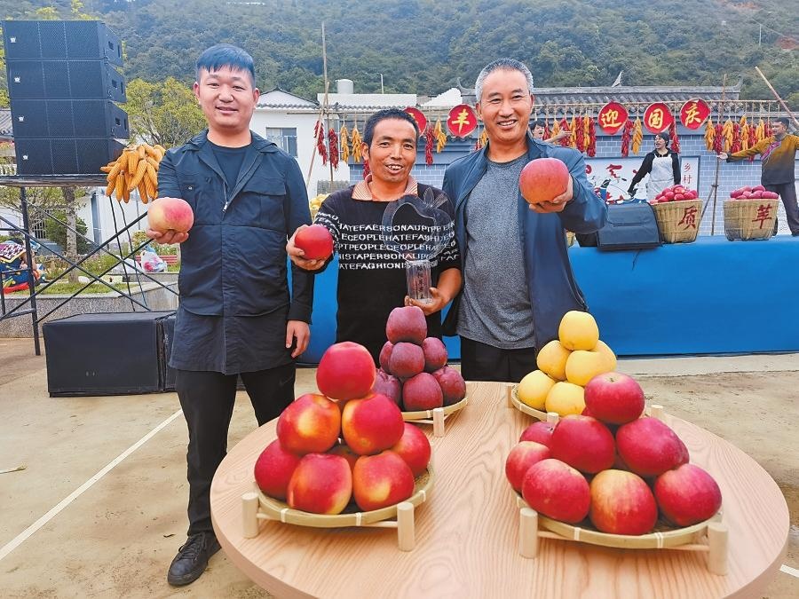 农民种植致富_农业种植致富果_农村致富项目种植业