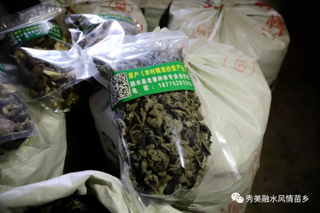 高山养殖场_高山养殖致富项目_高山地区养殖什么最赚钱