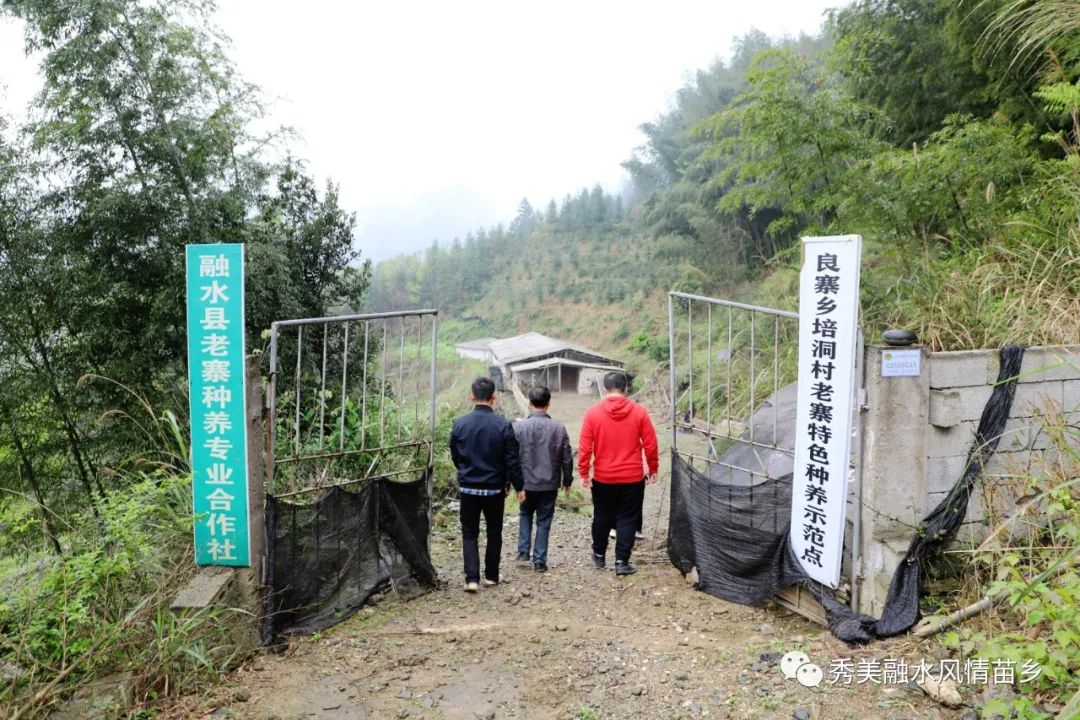高山养殖场_高山养殖致富项目_高山地区养殖什么最赚钱