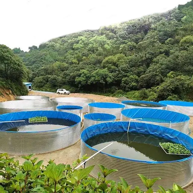 致富经帆布鱼池养虾_帆布池养虾视频_致富虾养帆布鱼池怎么养